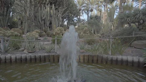 A fountain in a park covered with cactuses. Stockbeeldmateriaal 98356284