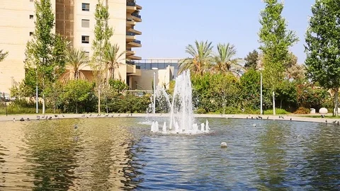 Fountain at park with doves Stock Footage 106091583