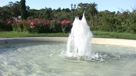 Fountain at a park Vídeo Stock 339325