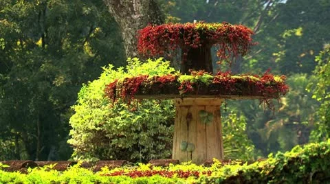 The fountain in the park Video stock 10765627