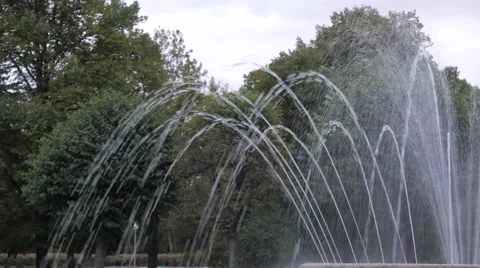 Fountain in a park Vídeo Stock 55874384