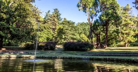Fountain in the park Stock Footage 74306834