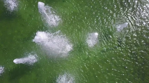 Fountain In The Park Stock Footage 75740967