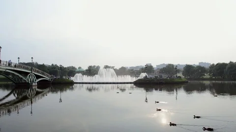 Fountain in the park Видео 81795432