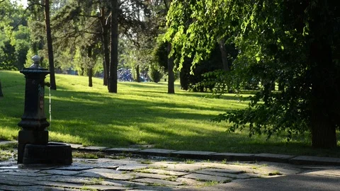 Fountain in the park Stock Footage 91754320