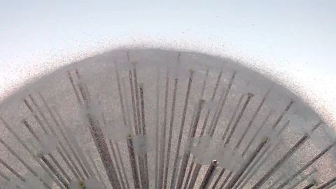 Fountain in the park Stock-Footage 95077705