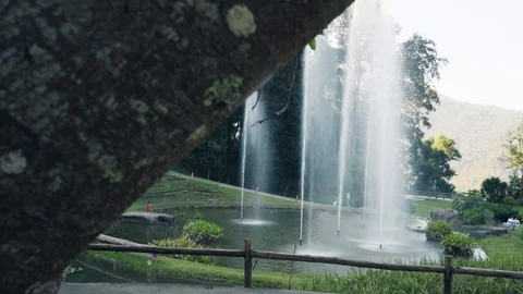 Fountain in the park Stock Footage 98007924