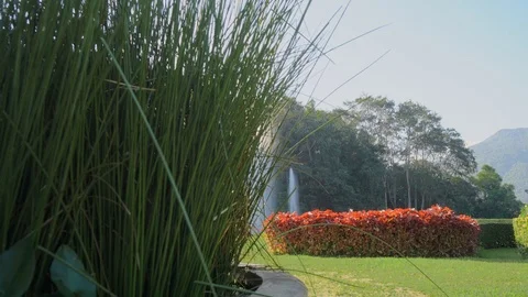 Fountain in the park Stock Footage 98008041