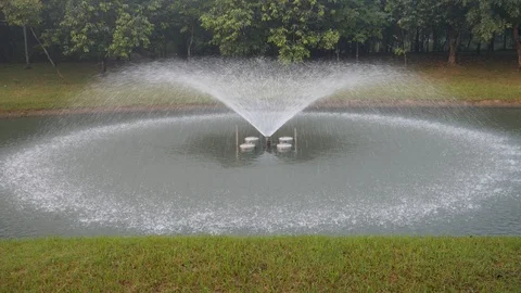 Fountain in park Stock Footage 101430024