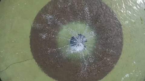 Fountain in the Park Stock Footage 101662131