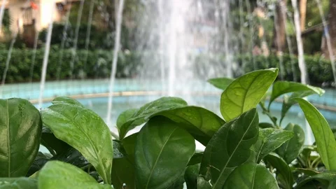 The fountain in the park. Stock Footage 110620419