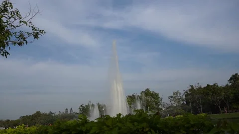 Fountain in the park Stock Footage 166373199