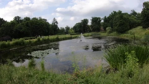 Fountain in the park Stock Footage 168946981