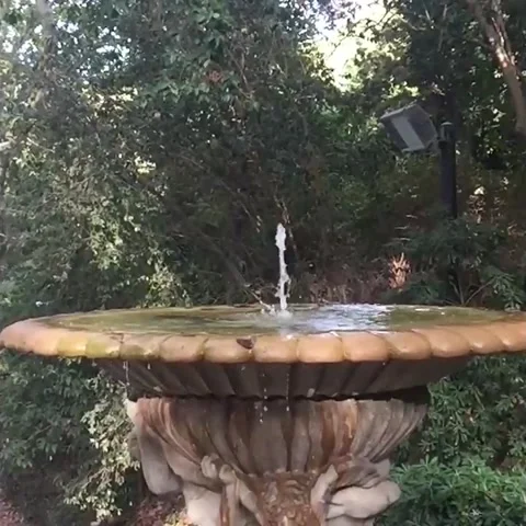 Fountain in the park Stock Footage 221508079