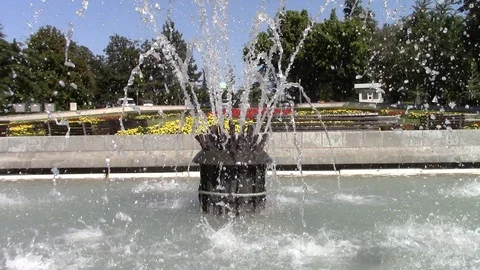 Fountain in a park full of flowers Stock Footage 116321761