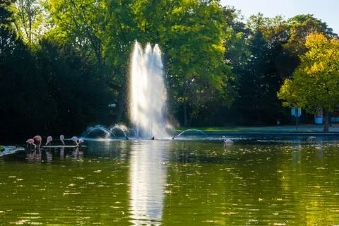 Fountain in park Stock Photos