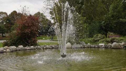 Fountain in the park surrounded by greenery Stock Footage 255215113