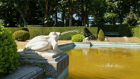 Fountain in the park of Varese with frog Stock Footage 239276100