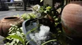 Fountain at Pattaya floating market. HD Footage