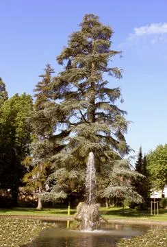 Fountain Stock Photos