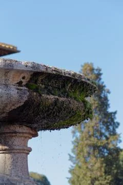 The Fountain Foto stock