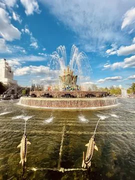 The fountain Stock Photos