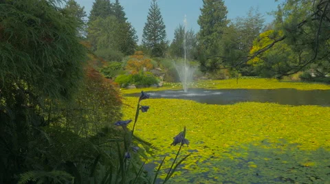 Fountain in the pond in the park Stock Footage 63388040