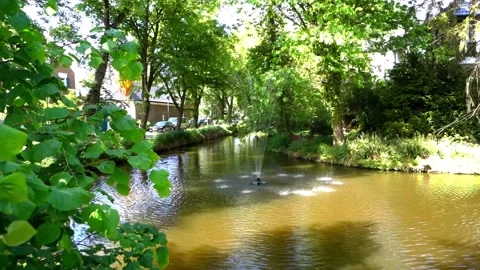 Fountain, river, spring, greenery Stock Footage 194149618