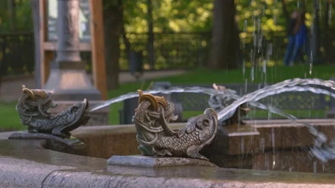 Fountain sculpture in kiev close up Stock Footage 202174640