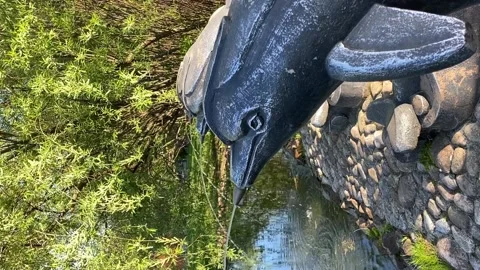 Fountain in the shape of a dolphin in the park in summer Video stock 196012535