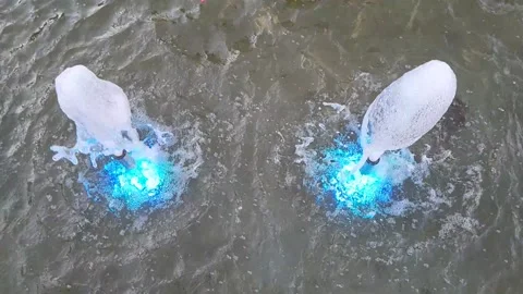 Fountain in slow motion Stock Footage 155078346