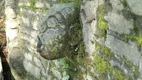 Fountain of a small spring at Ulmener Maar, volcanic crater (Rhineland-Palati 스톡 동영상 79965139