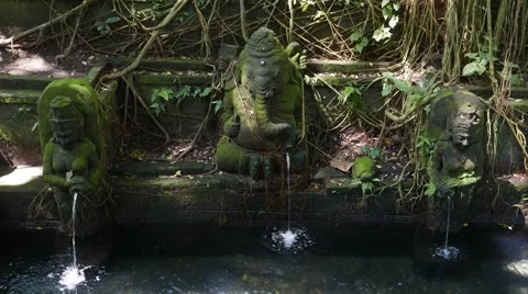 Fountain source in the forest 動画素材 50887593