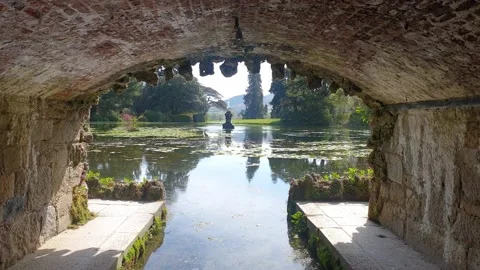 A fountain spraying over pond. Stock Footage 153542989
