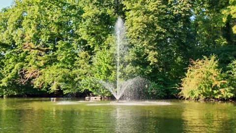 Fountain spraying water high surrounded by lush green trees in a pretty The Video stock 316109894