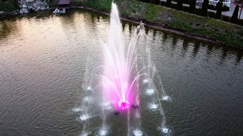 Fountain in the spring evening with pink lighting, ducks swim nearby Stock Footage 128150944