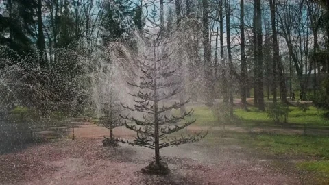 Fountain in the spring park Video stock 154653840