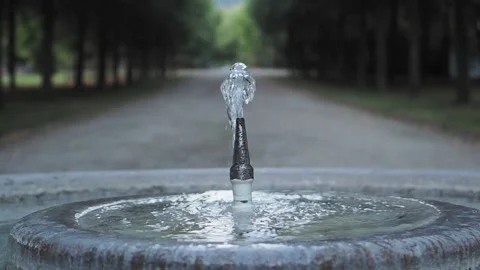 Fountain of spring source in the sunshine Stock Footage 217366458