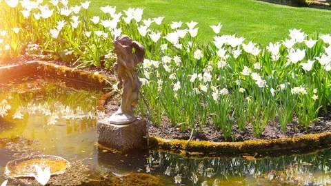 Fountain in Spring Sunlight, Water Pond and Green City Outdoor Park Architecture Stock-Footage 107518941