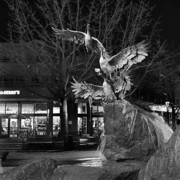 The fountain statue of birds, Fort Collins Stock Photos