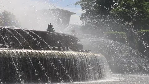 Fountain Stone Flower, close-up Stock Footage 155552709