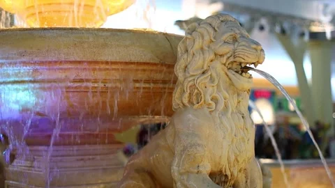 Fountain with stone lions Stock Footage 251475946