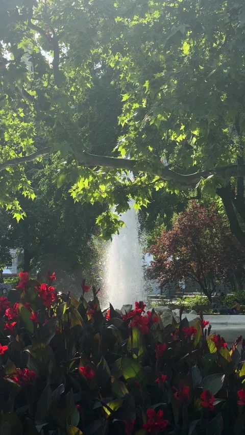 Fountain stream rising high in a tranquil park, water droplet glistening under Stock Footage 337363059