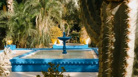 Fountain with succulents in Marrakech Video stock 108617575