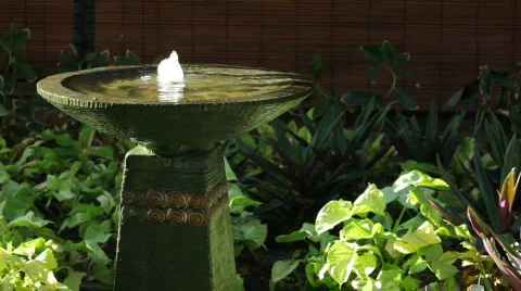 Fountain in sunlight wide Stock Footage 476252