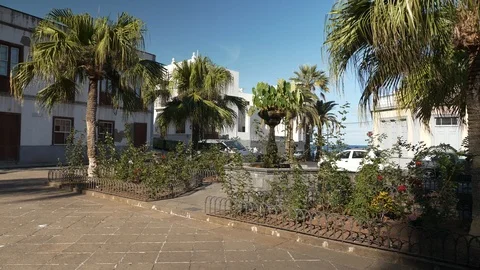 Fountain Surrounded By Palm Trees In Garachico Tenerife Spain Stock Footage 104545500