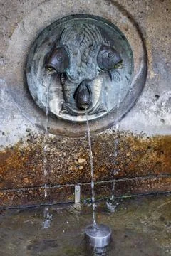 Fountain with three flows of water from fish sculpture in Vienna at summer da Stock Photos