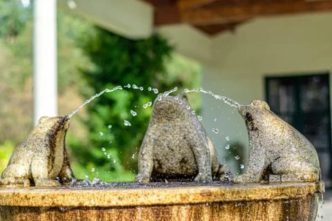 Fountain of three granite frogs playing with the water Stock Photos