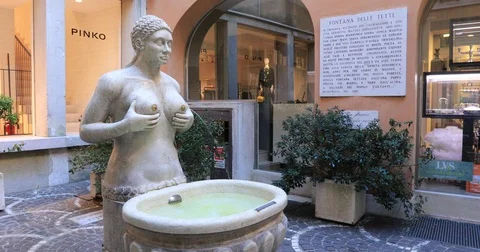 Fountain of tits in Treviso 動画素材 85272393