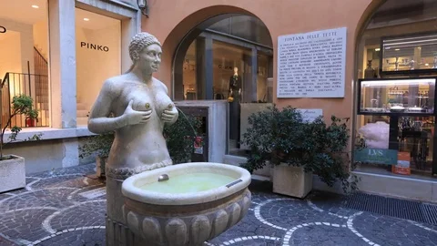 Fountain of tits in Treviso 動画素材 85272609